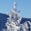 Tabella Neve (Fonte Dati: MeteoSvizzera)