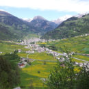 I prati primaverili intorno a Poschiavo – Foto di Bruna Nogheredo (Il Bernina, 27 maggio 2012)