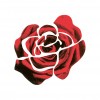 Giornata delle Rose