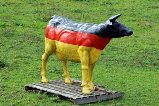germania_mucca