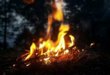 Danni dei lupi: fuochi di solidarietà sulle Alpi, anche a Poschiavo