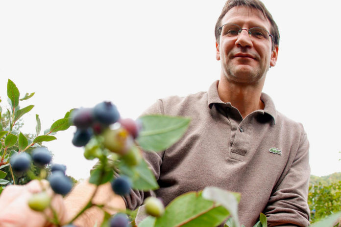 Foto di Giada Bianchi