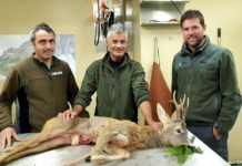 Bilancio provvisorio della caccia, intervista a Carlo Micheli