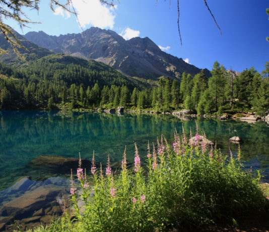 Val di Campo “invasa”: e se si istituisse un pedaggio?