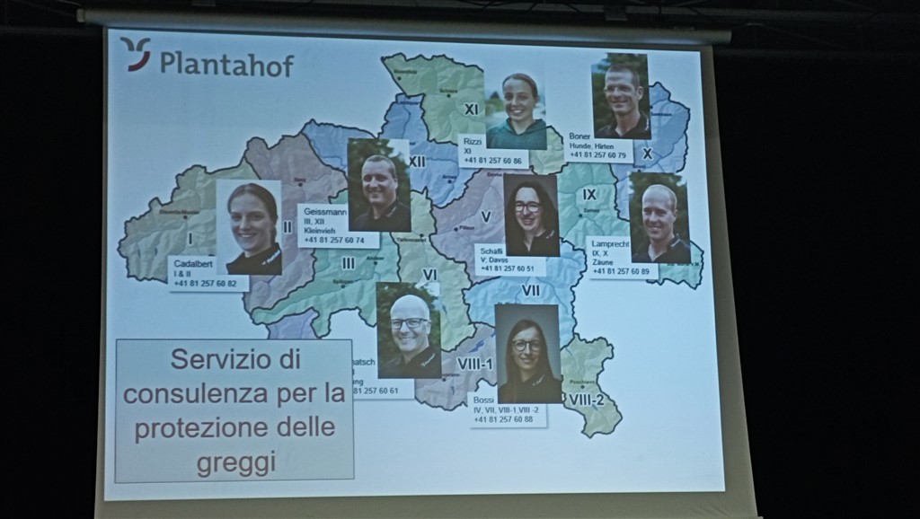 Grandi predatori valposchiavo (8)