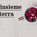 banner-bernina1