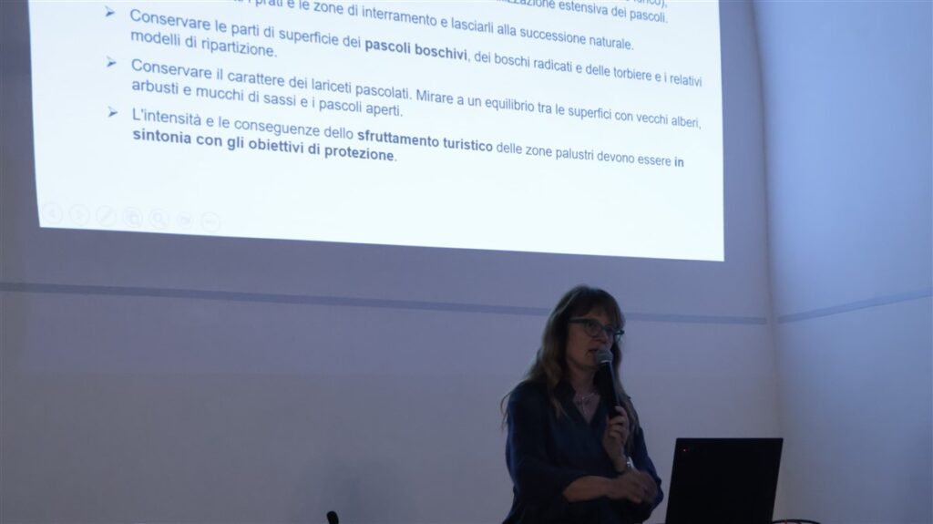 Attuazione Zone palustri - Franziska Andres