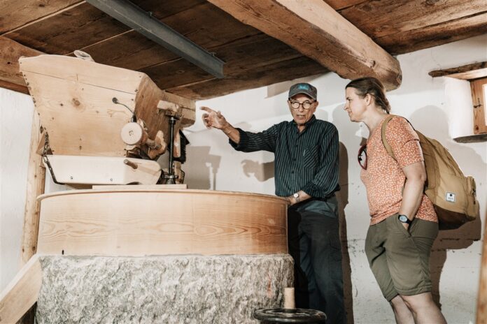 porte aperte al Mulino Aino e al Centro di conservazione (58)